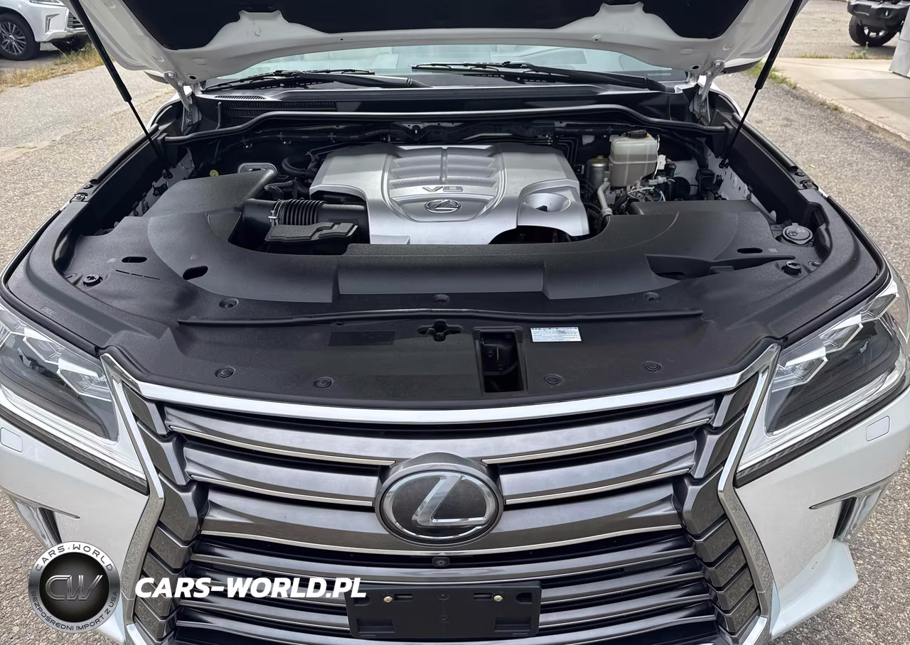 2016 Lexus Lx 570 VIN:JTJHY7AX3G4213685 - 10