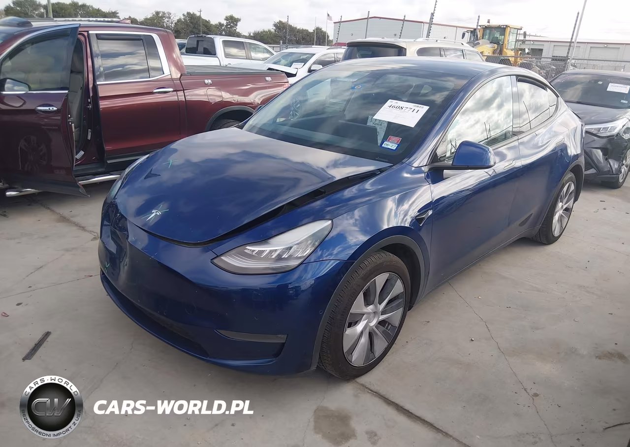 2020 Tesla Model Y Long Range Dual Motor All-Wheel Drive VIN:5YJYGDEE5LF010670 - 2