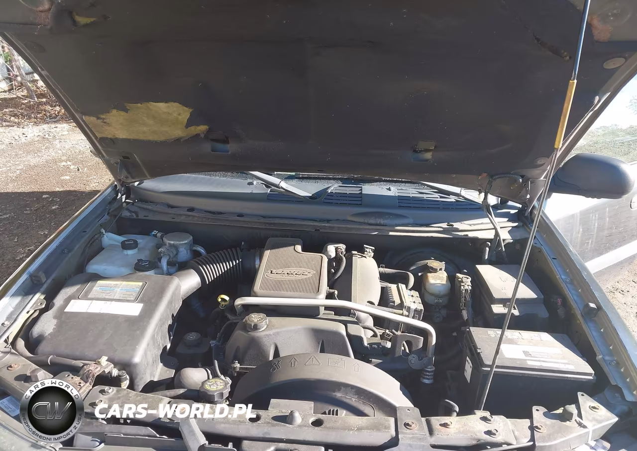 2004 Chevrolet Trailblazer Ls VIN:1GNDT13S442221517 - 10