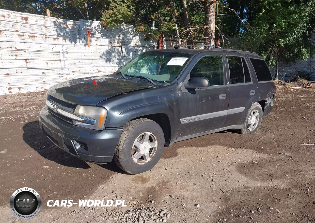 2004 Chevrolet Trailblazer Ls VIN:1GNDT13S442221517 - 2