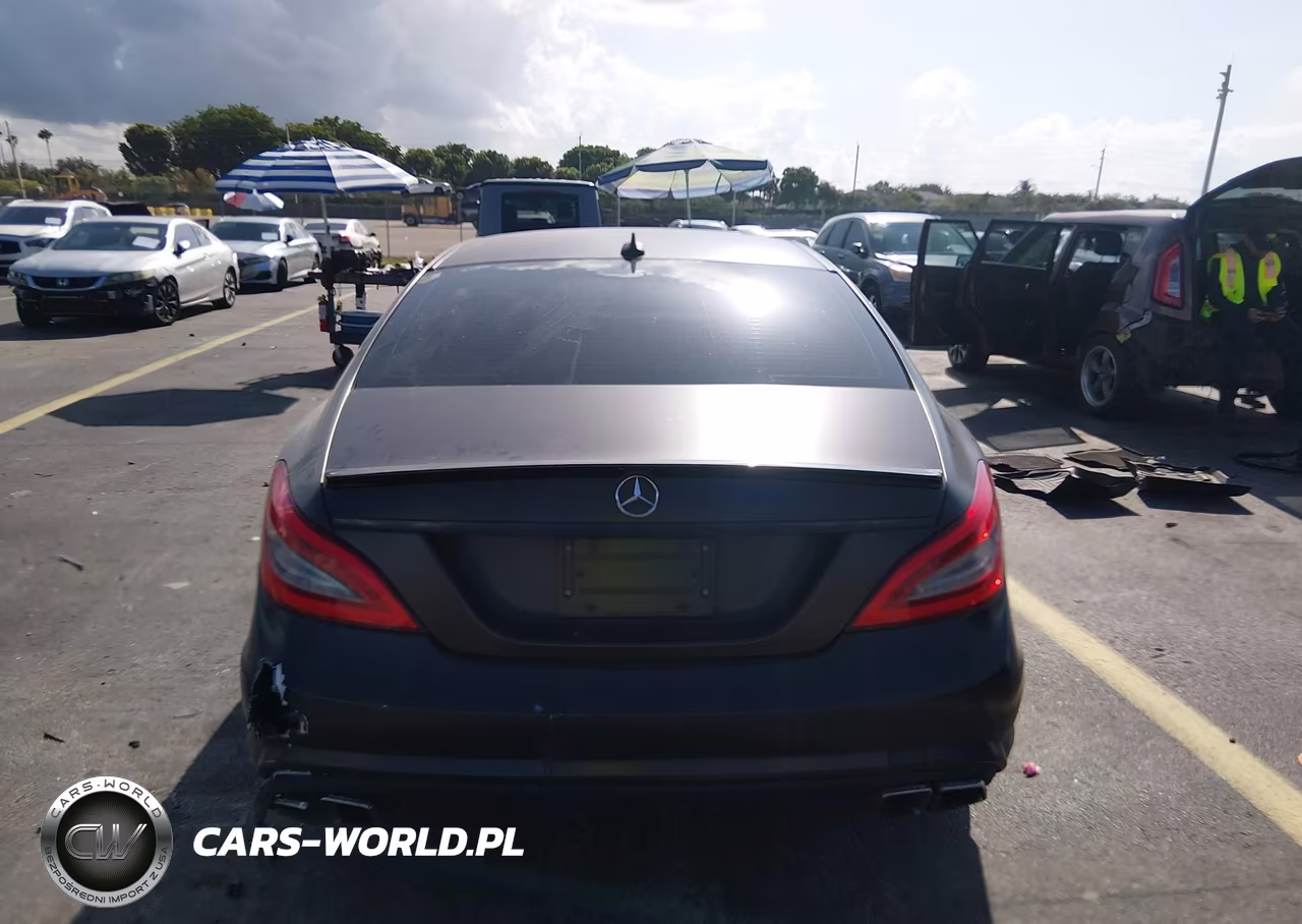 2013 Mercedes-Benz Cls 550 4Matic VIN:WDDLJ9BB1DA068164 - 16