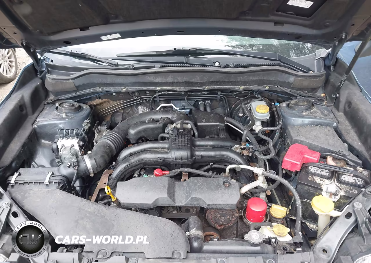 2016 Subaru Forester 2.5I Premium VIN:JF2SJADC6GH509250 - 10