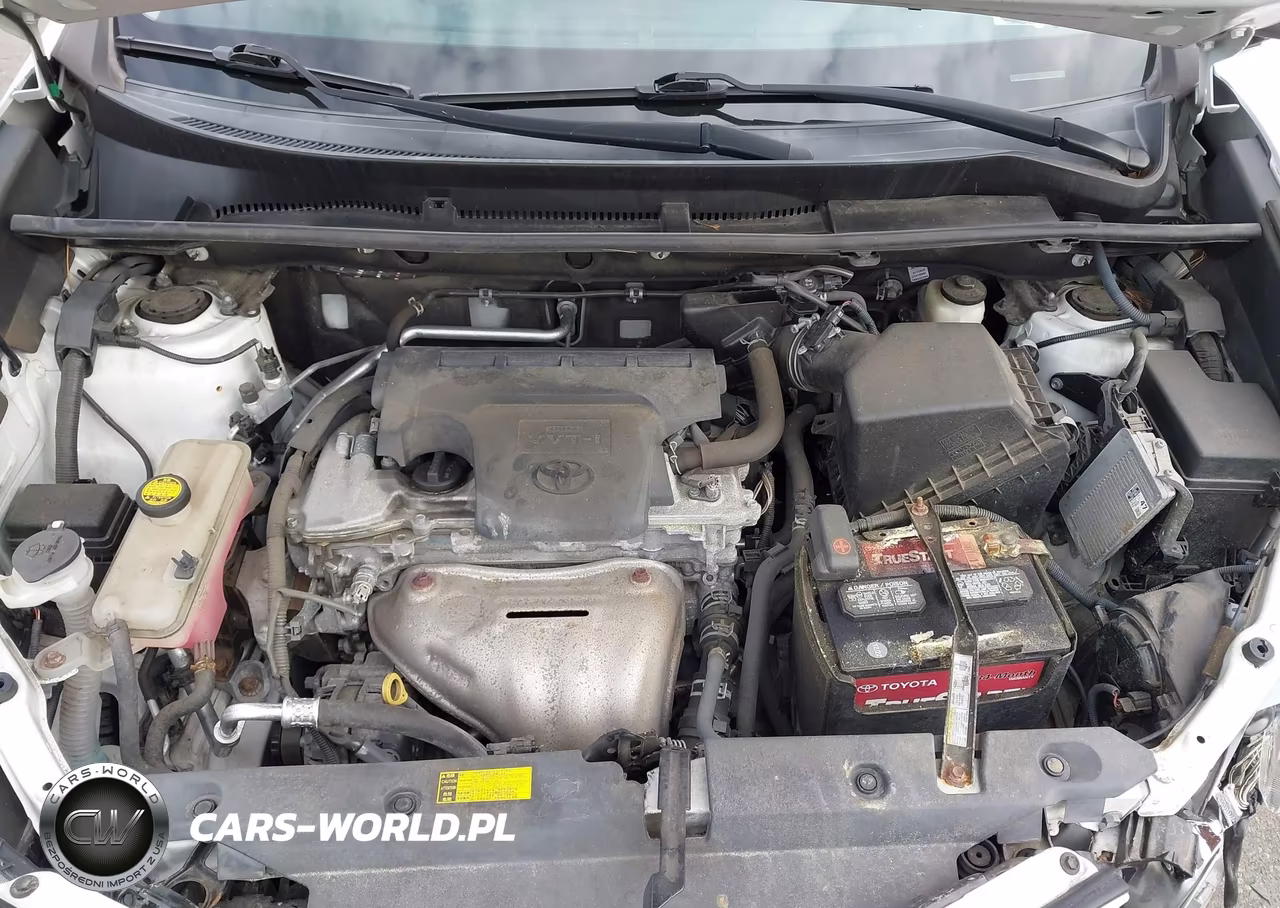2015 Toyota Rav4 Xle VIN:2T3RFREV9FW372214 - 10