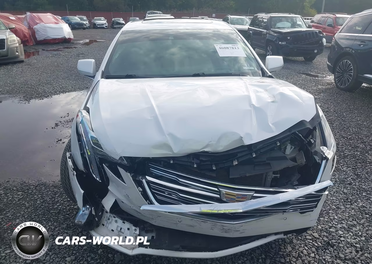 2019 Cadillac Xts Platinum VIN:2G61T5S38K9156170 - 12