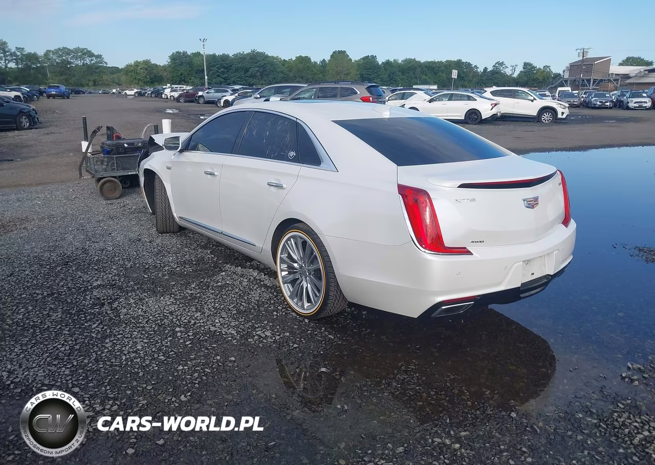 2019 Cadillac Xts Platinum VIN:2G61T5S38K9156170 - 3