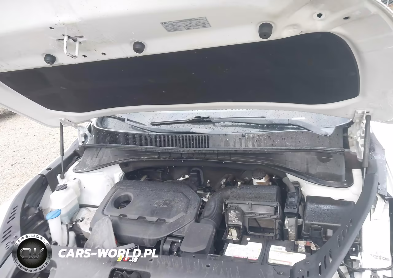 2019 Kia Sorento 2.4L Lx VIN:5XYPG4A35KG457670 - 10