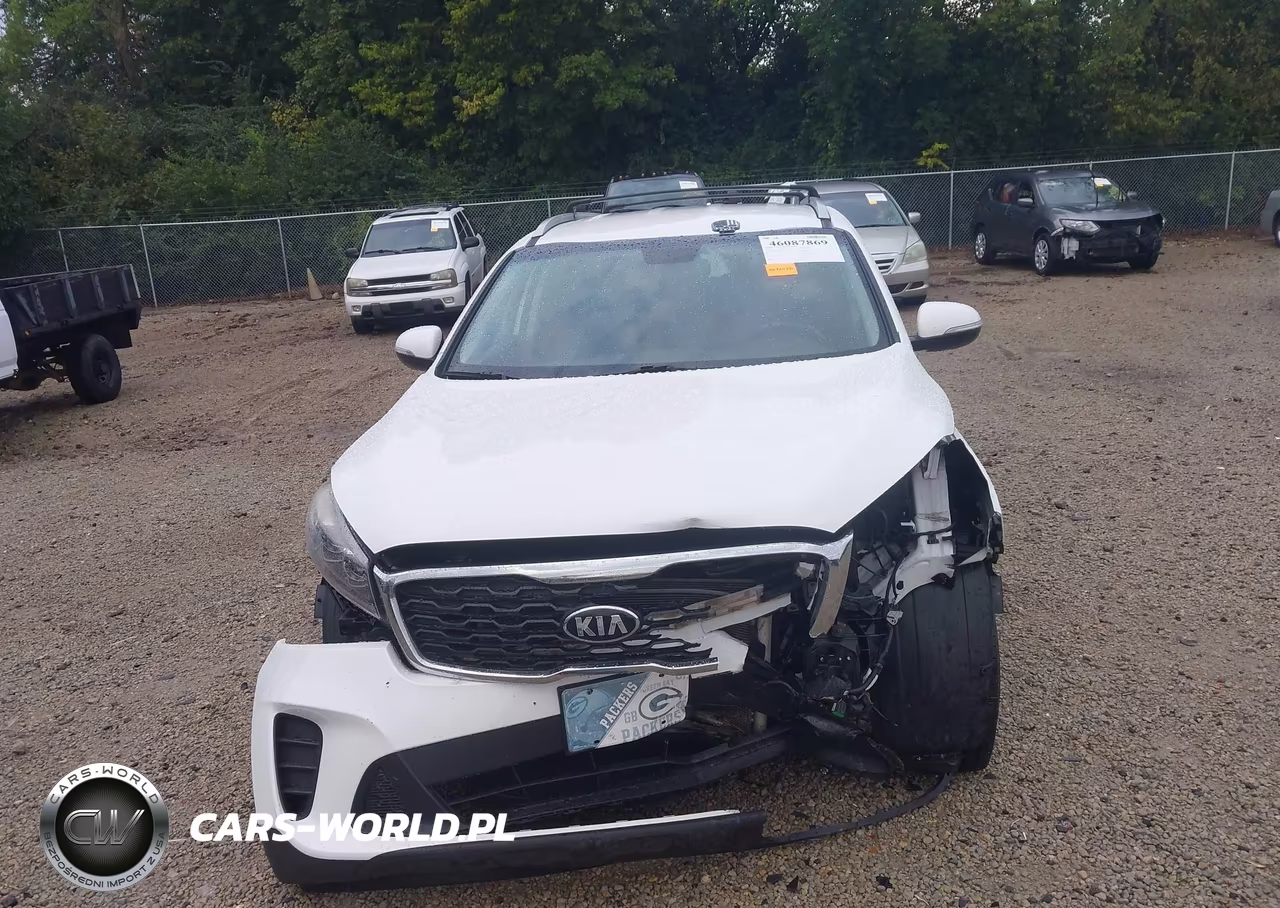 2019 Kia Sorento 2.4L Lx VIN:5XYPG4A35KG457670 - 13