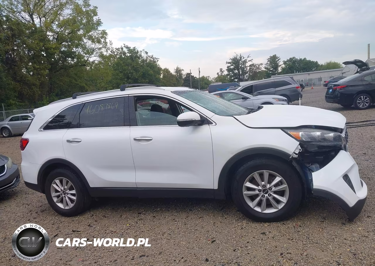 2019 Kia Sorento 2.4L Lx VIN:5XYPG4A35KG457670 - 14