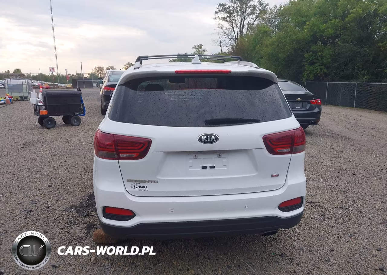 2019 Kia Sorento 2.4L Lx VIN:5XYPG4A35KG457670 - 17