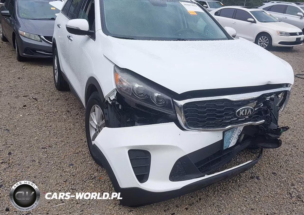 2019 Kia Sorento 2.4L Lx VIN:5XYPG4A35KG457670 - 18