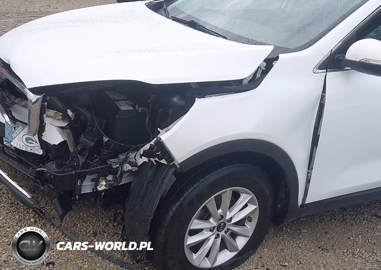 2019 Kia Sorento 2.4L Lx VIN:5XYPG4A35KG457670 - 20