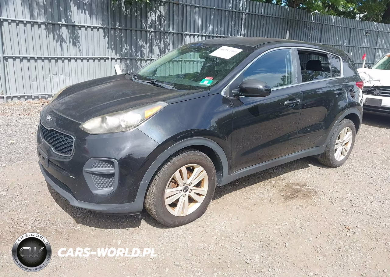 2017 Kia Sportage Lx VIN:KNDPM3AC7H7041807 - 2