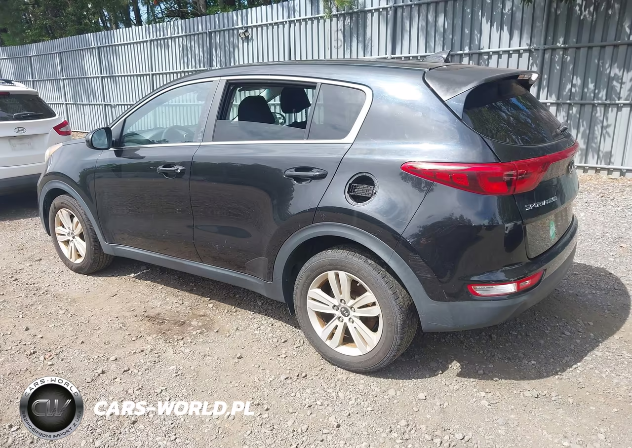2017 Kia Sportage Lx VIN:KNDPM3AC7H7041807 - 3