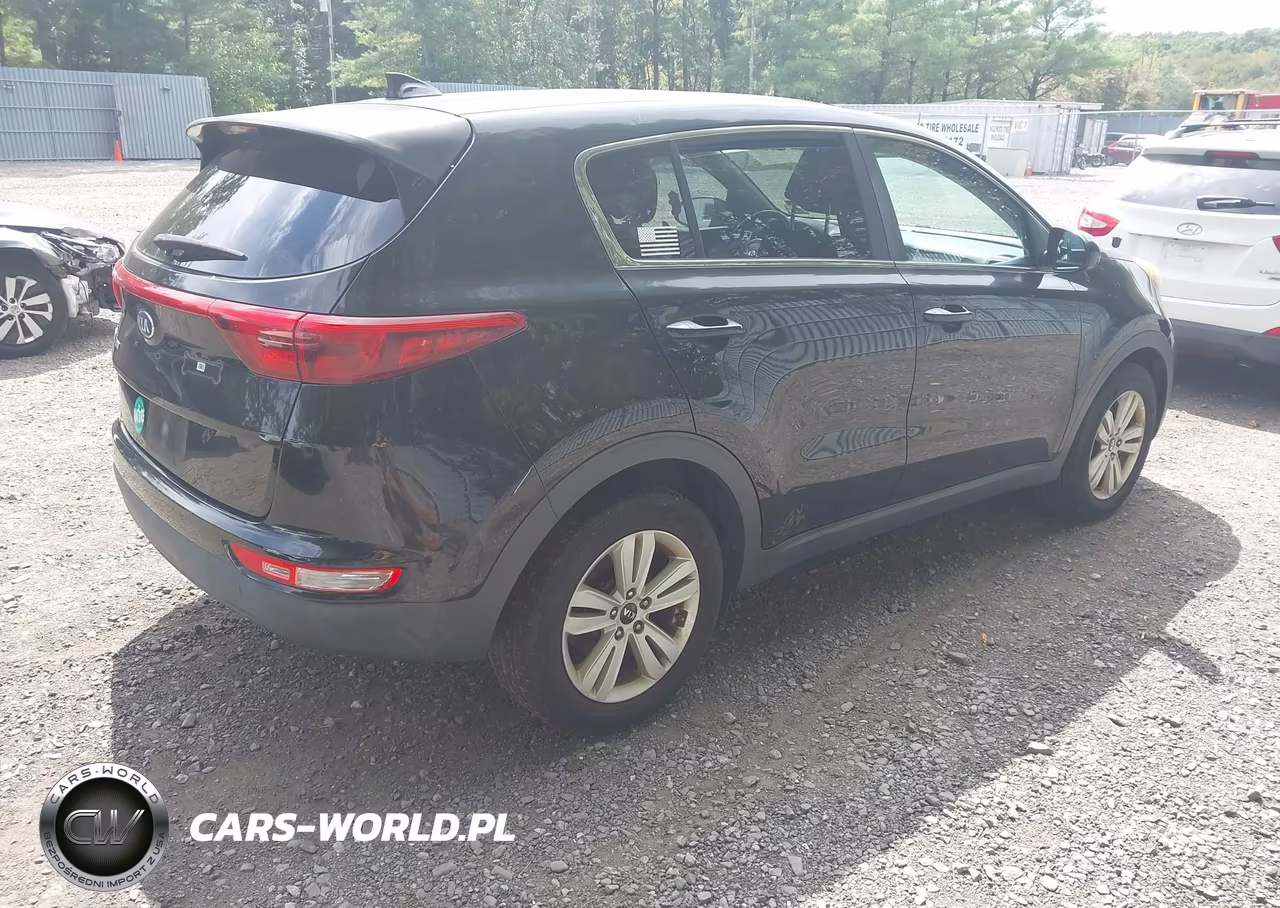 2017 Kia Sportage Lx VIN:KNDPM3AC7H7041807 - 4