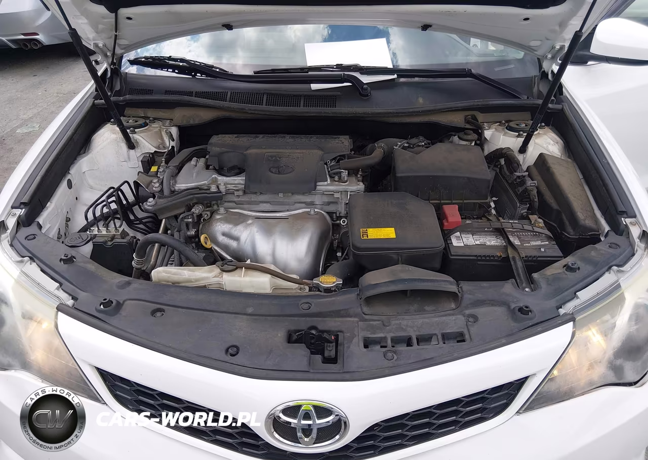 2014 Toyota Camry Se VIN:4T1BF1FK6EU305794 - 10