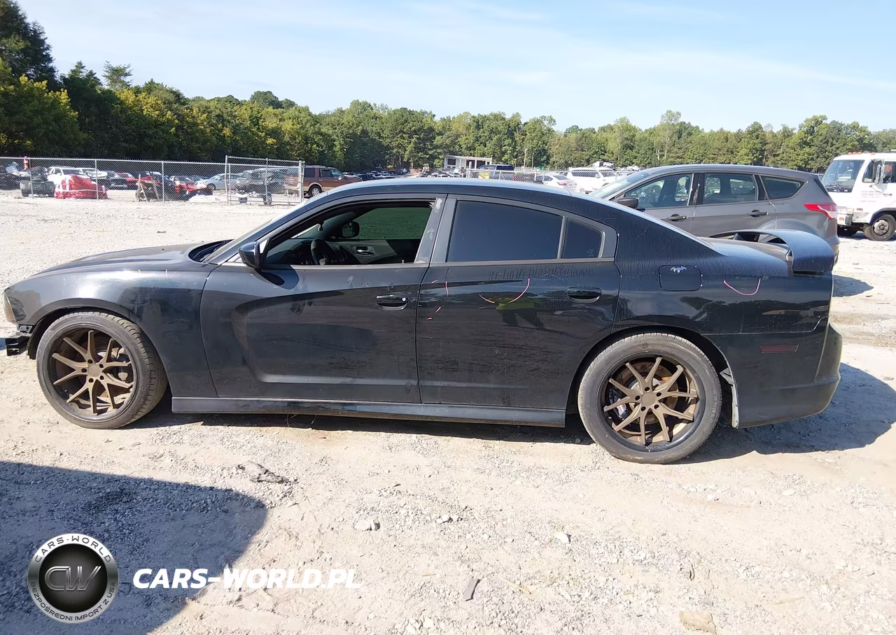 2013 Dodge Charger Srt8 Super Bee VIN:2C3CDXGJ5DH525182 - 15