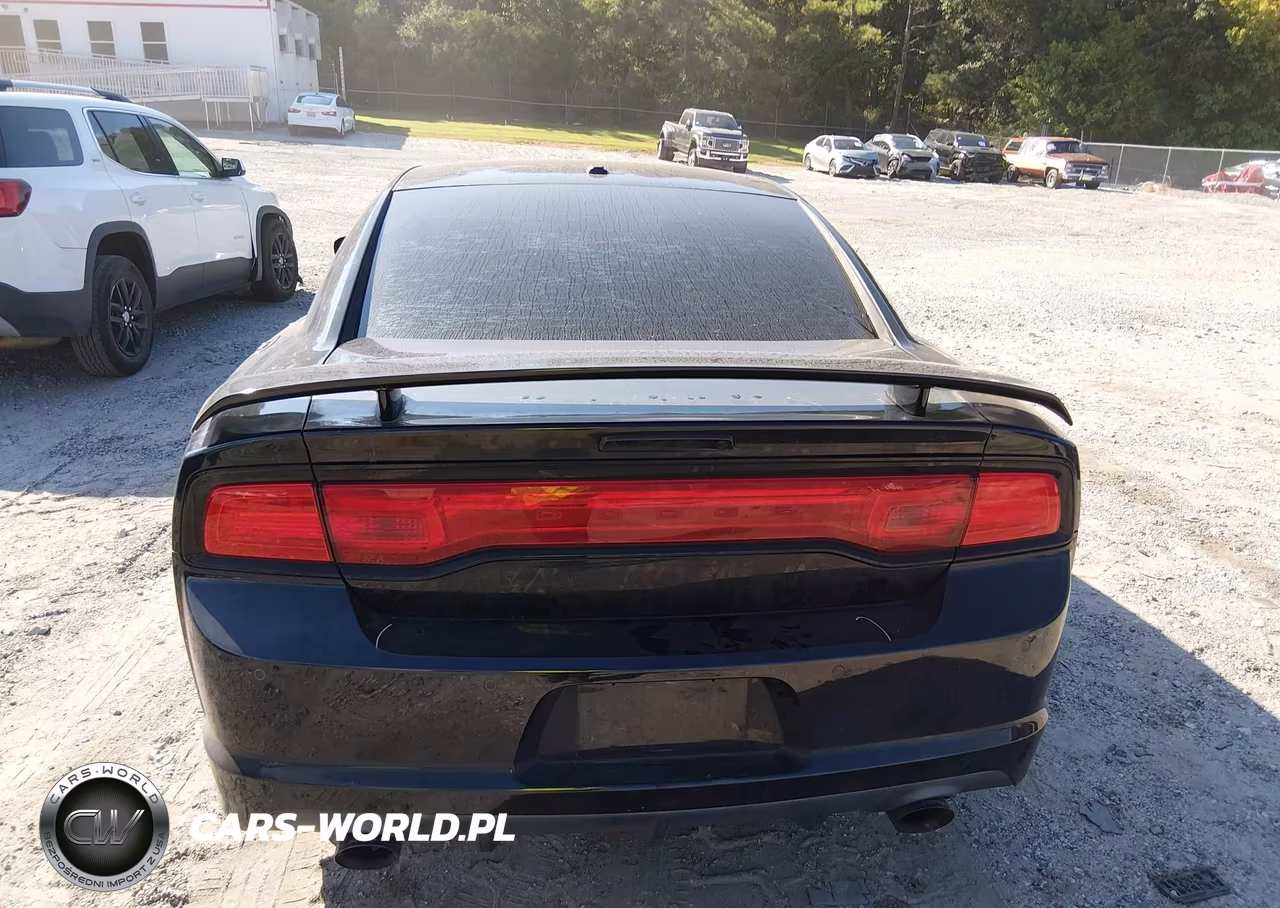 2013 Dodge Charger Srt8 Super Bee VIN:2C3CDXGJ5DH525182 - 17