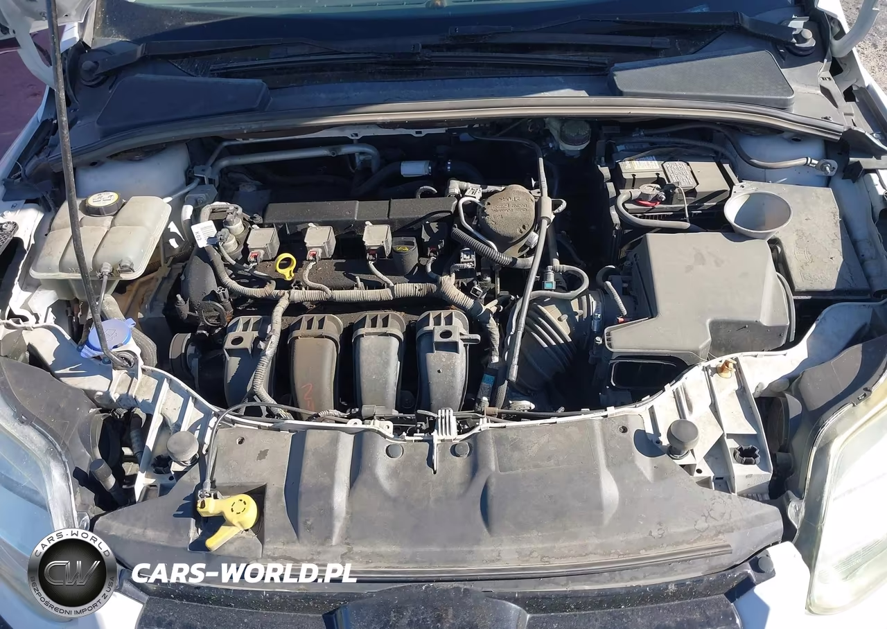 2013 Ford Focus Titanium VIN:1FADP3N28DL301537 - 10