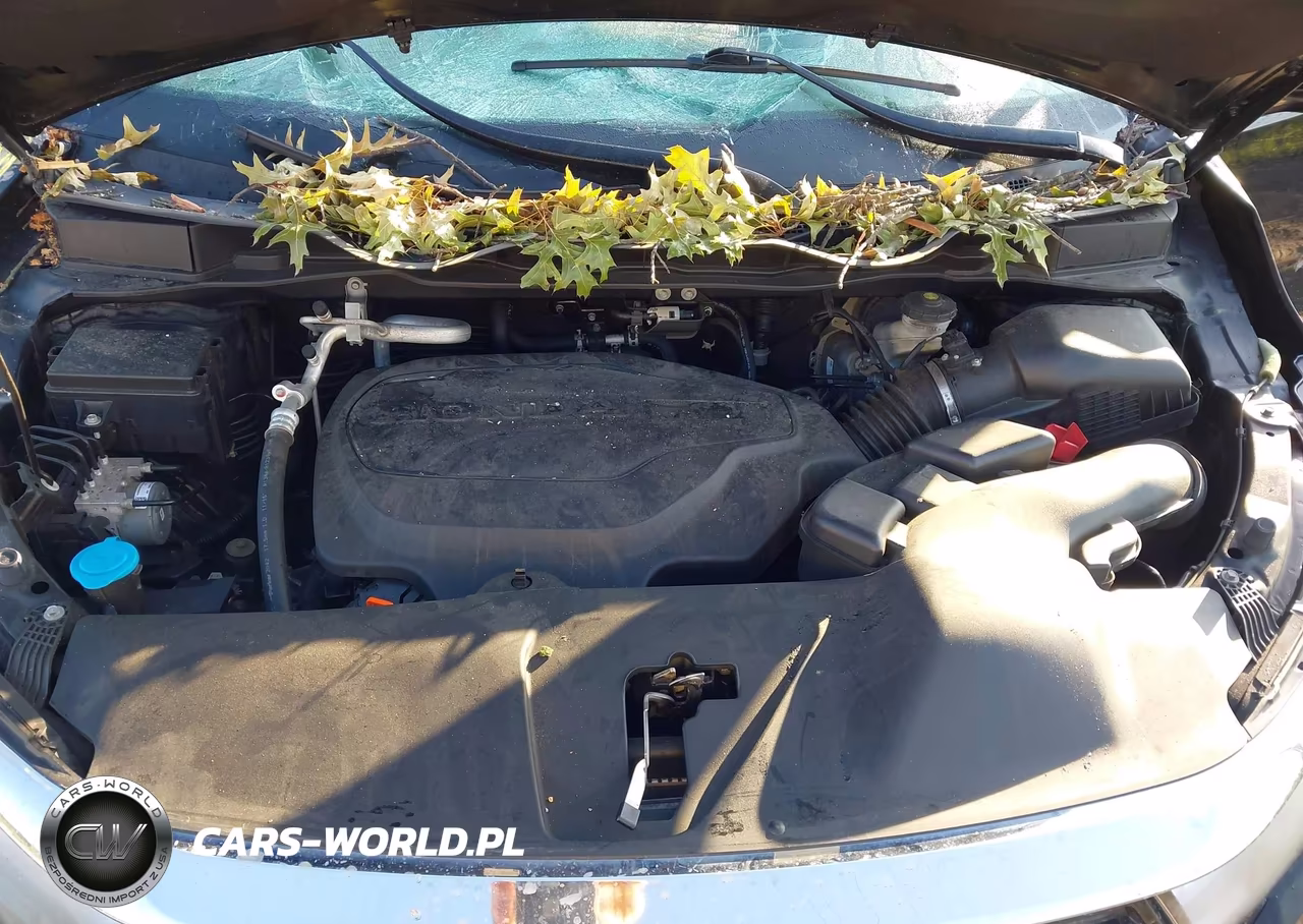 2022 Honda Odyssey Touring VIN:5FNRL6H85NB054852 - 10