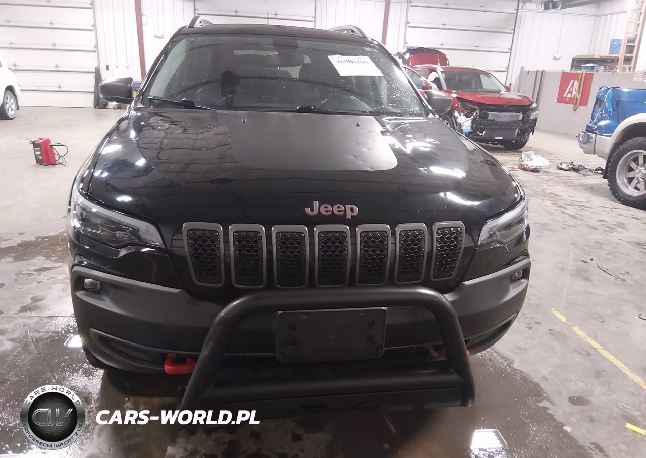 2019 Jeep Cherokee Trailhawk 4X4 VIN:1C4PJMBN5KD489454 - 12