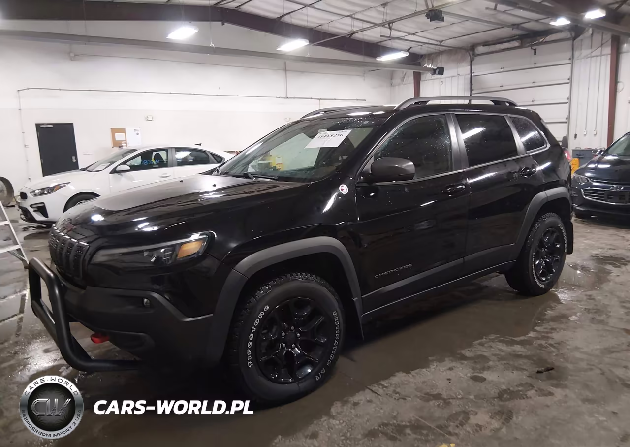 2019 Jeep Cherokee Trailhawk 4X4 VIN:1C4PJMBN5KD489454 - 2