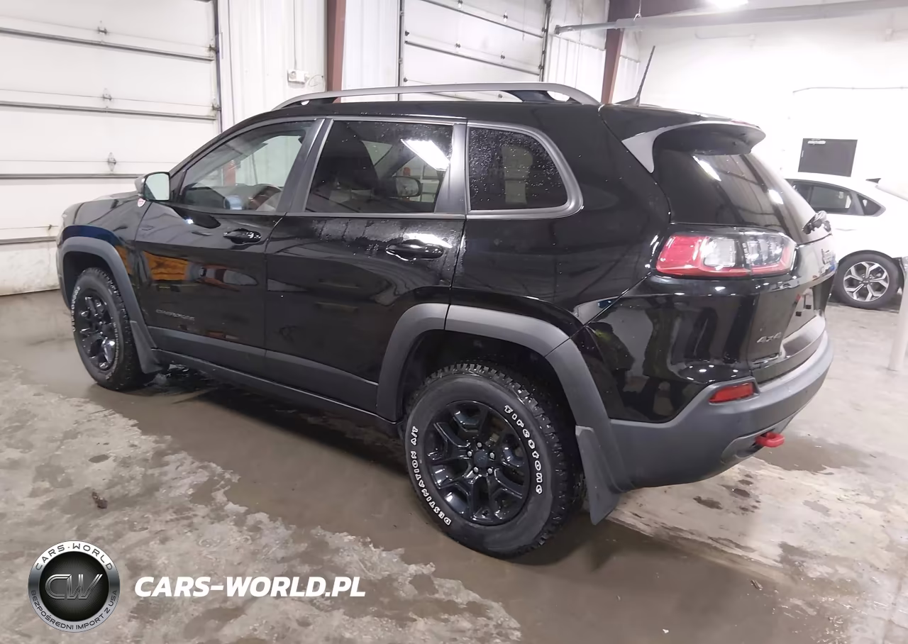 2019 Jeep Cherokee Trailhawk 4X4 VIN:1C4PJMBN5KD489454 - 3
