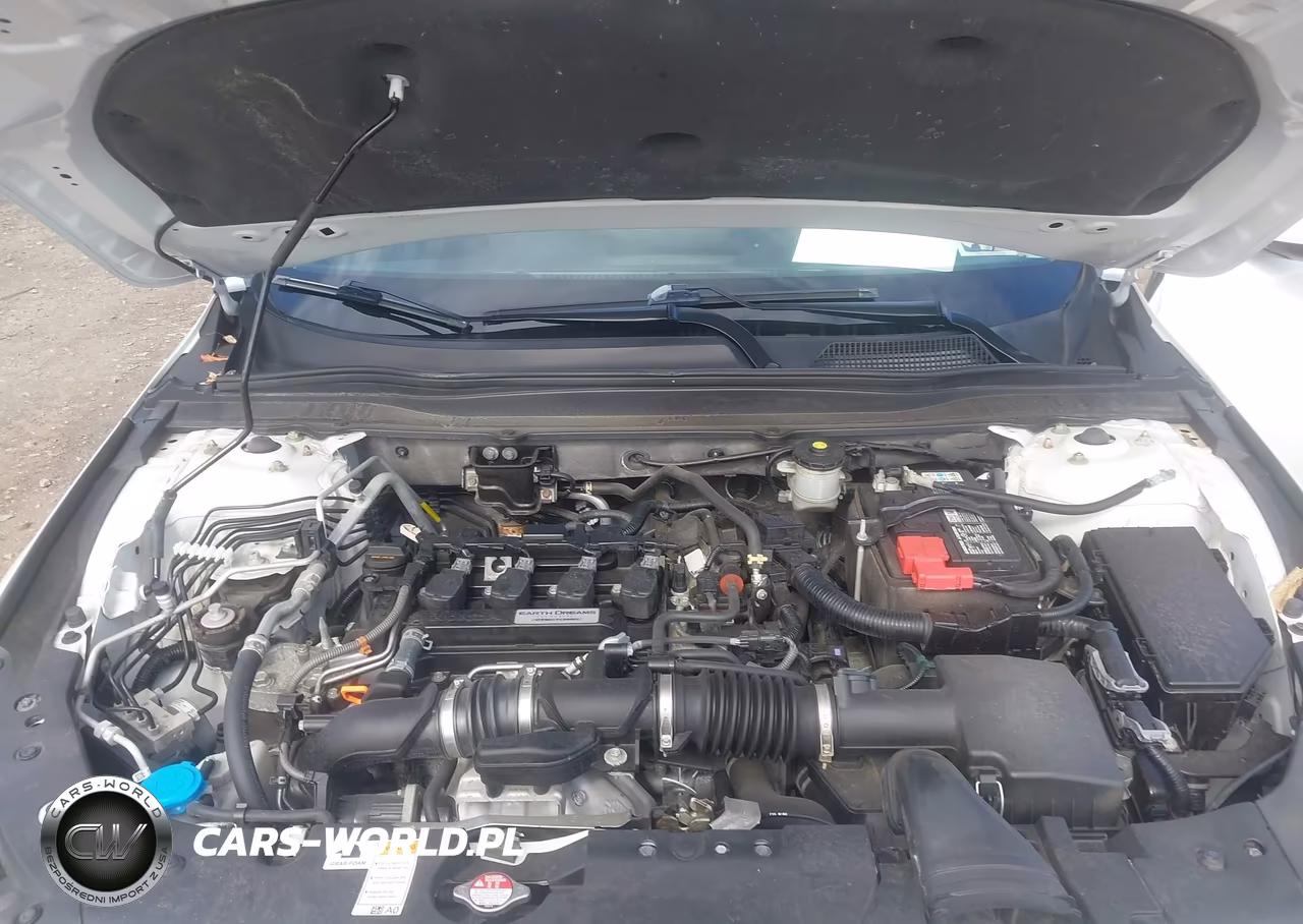 2019 Honda Accord Lx VIN:1HGCV1F16KA134935 - 10