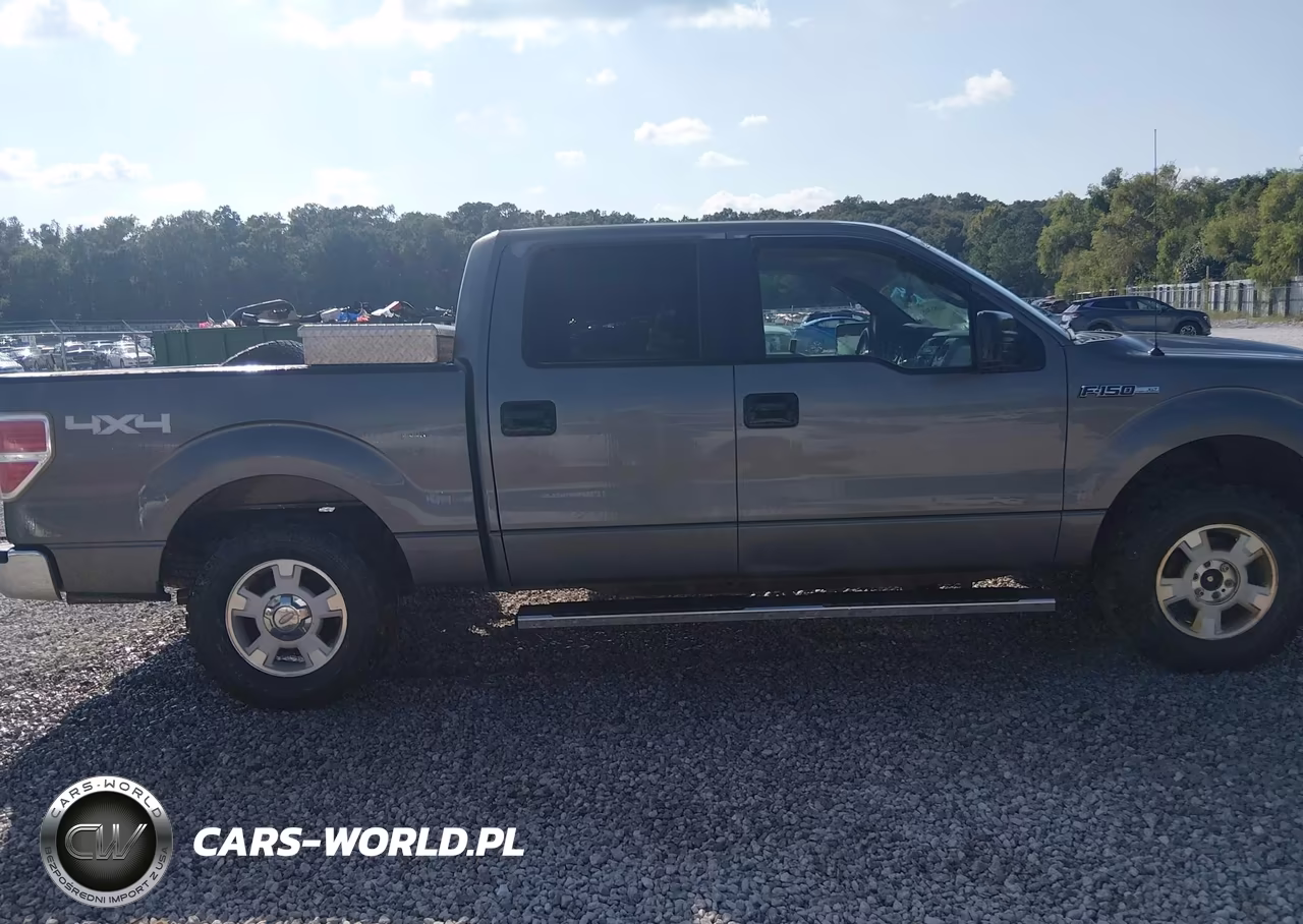 2009 Ford F-150 Fx4-King Ranch-Lariat-Platinum-Xl-Xlt VIN:1FTPW14V19KC72373 - 15