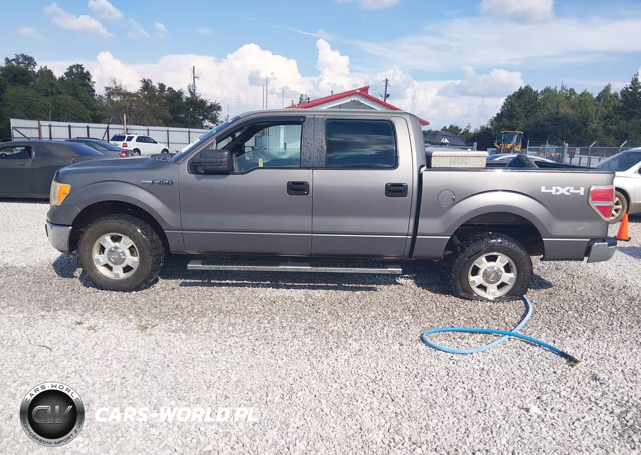 2009 Ford F-150 Fx4-King Ranch-Lariat-Platinum-Xl-Xlt VIN:1FTPW14V19KC72373 - 16