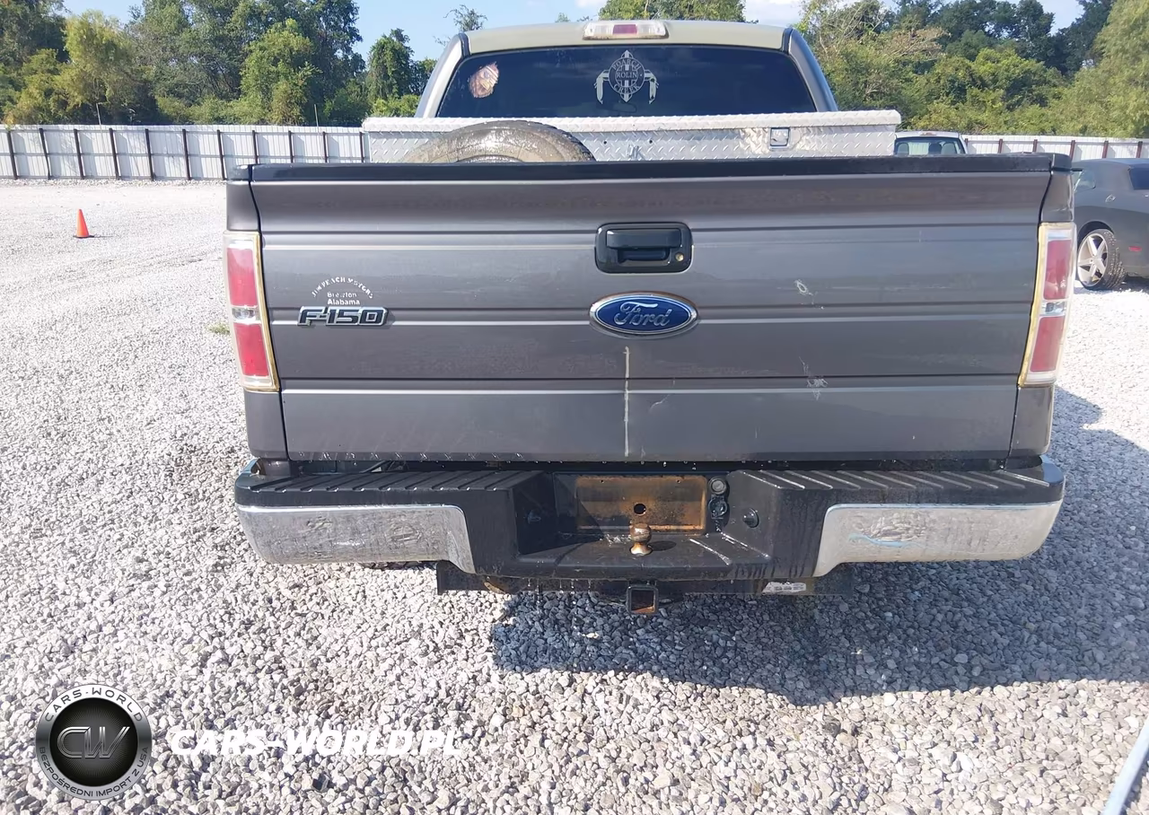 2009 Ford F-150 Fx4-King Ranch-Lariat-Platinum-Xl-Xlt VIN:1FTPW14V19KC72373 - 18
