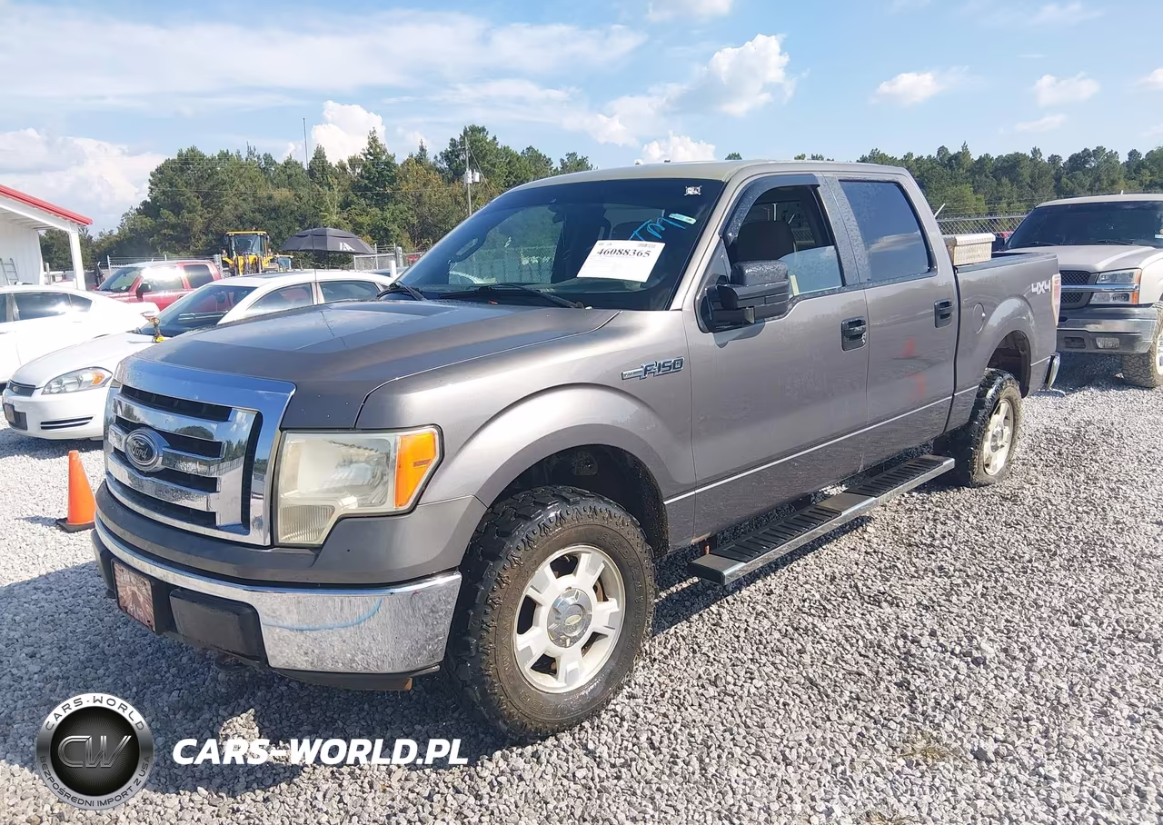 2009 Ford F-150 Fx4-King Ranch-Lariat-Platinum-Xl-Xlt VIN:1FTPW14V19KC72373 - 2
