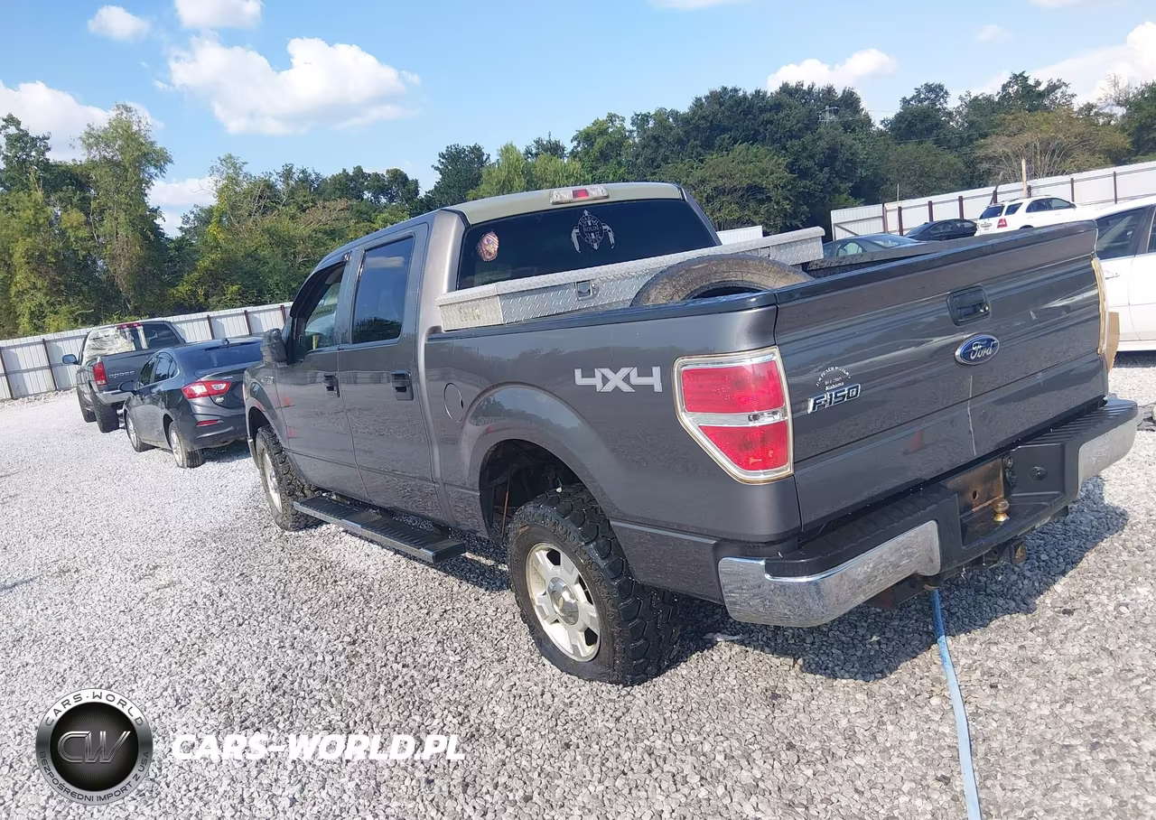 2009 Ford F-150 Fx4-King Ranch-Lariat-Platinum-Xl-Xlt VIN:1FTPW14V19KC72373 - 3