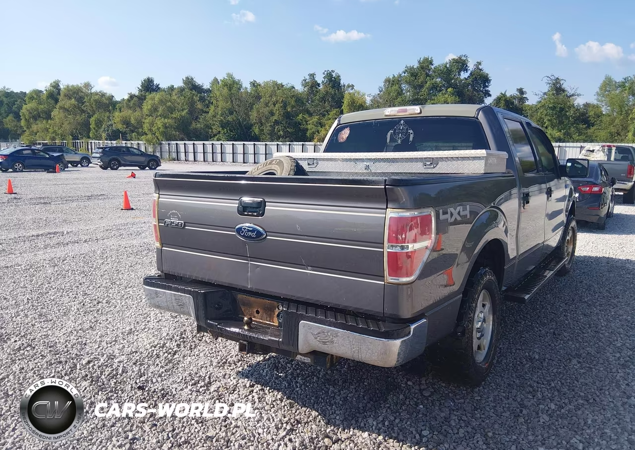 2009 Ford F-150 Fx4-King Ranch-Lariat-Platinum-Xl-Xlt VIN:1FTPW14V19KC72373 - 4