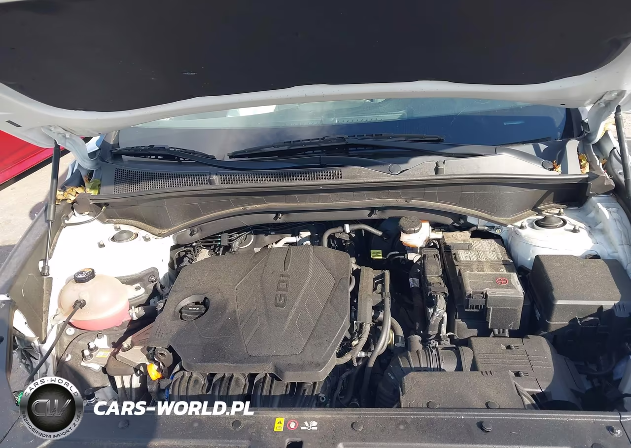 2021 Hyundai Santa Fe Sel VIN:5NMS2DAJ3MH314622 - 10