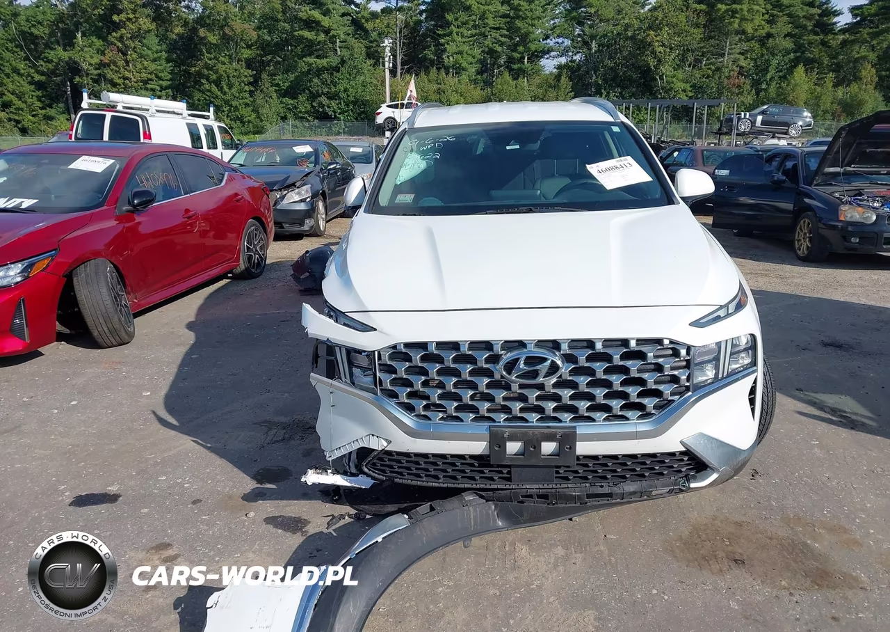 2021 Hyundai Santa Fe Sel VIN:5NMS2DAJ3MH314622 - 13