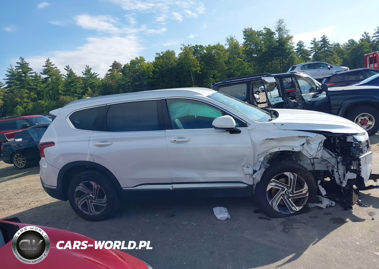 2021 Hyundai Santa Fe Sel VIN:5NMS2DAJ3MH314622 - 14