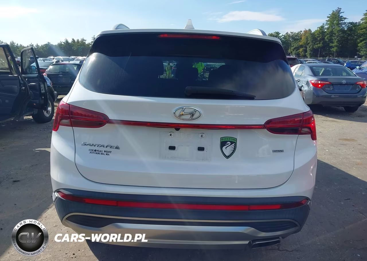2021 Hyundai Santa Fe Sel VIN:5NMS2DAJ3MH314622 - 17
