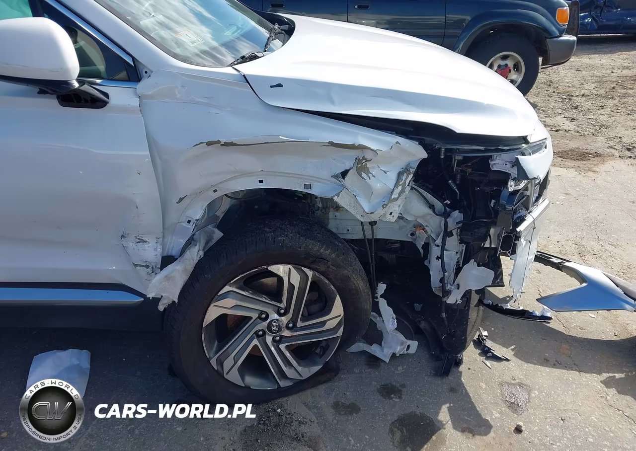 2021 Hyundai Santa Fe Sel VIN:5NMS2DAJ3MH314622 - 19