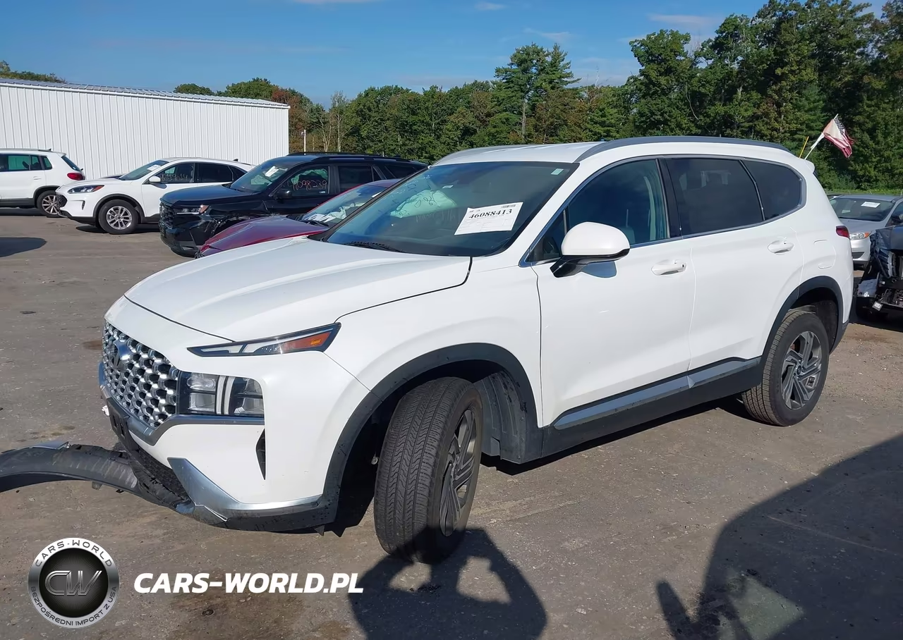 2021 Hyundai Santa Fe Sel VIN:5NMS2DAJ3MH314622 - 2