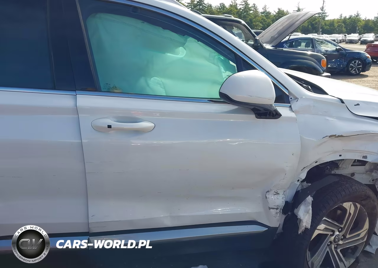 2021 Hyundai Santa Fe Sel VIN:5NMS2DAJ3MH314622 - 20