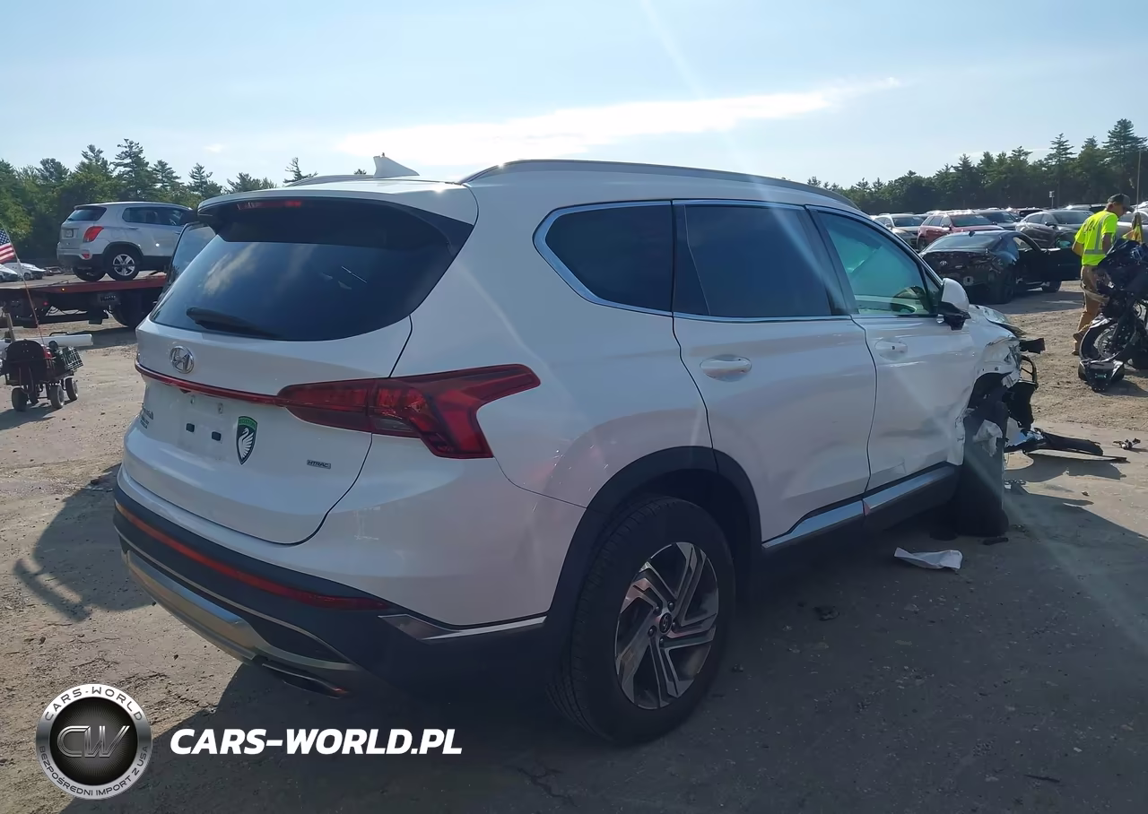 2021 Hyundai Santa Fe Sel VIN:5NMS2DAJ3MH314622 - 4