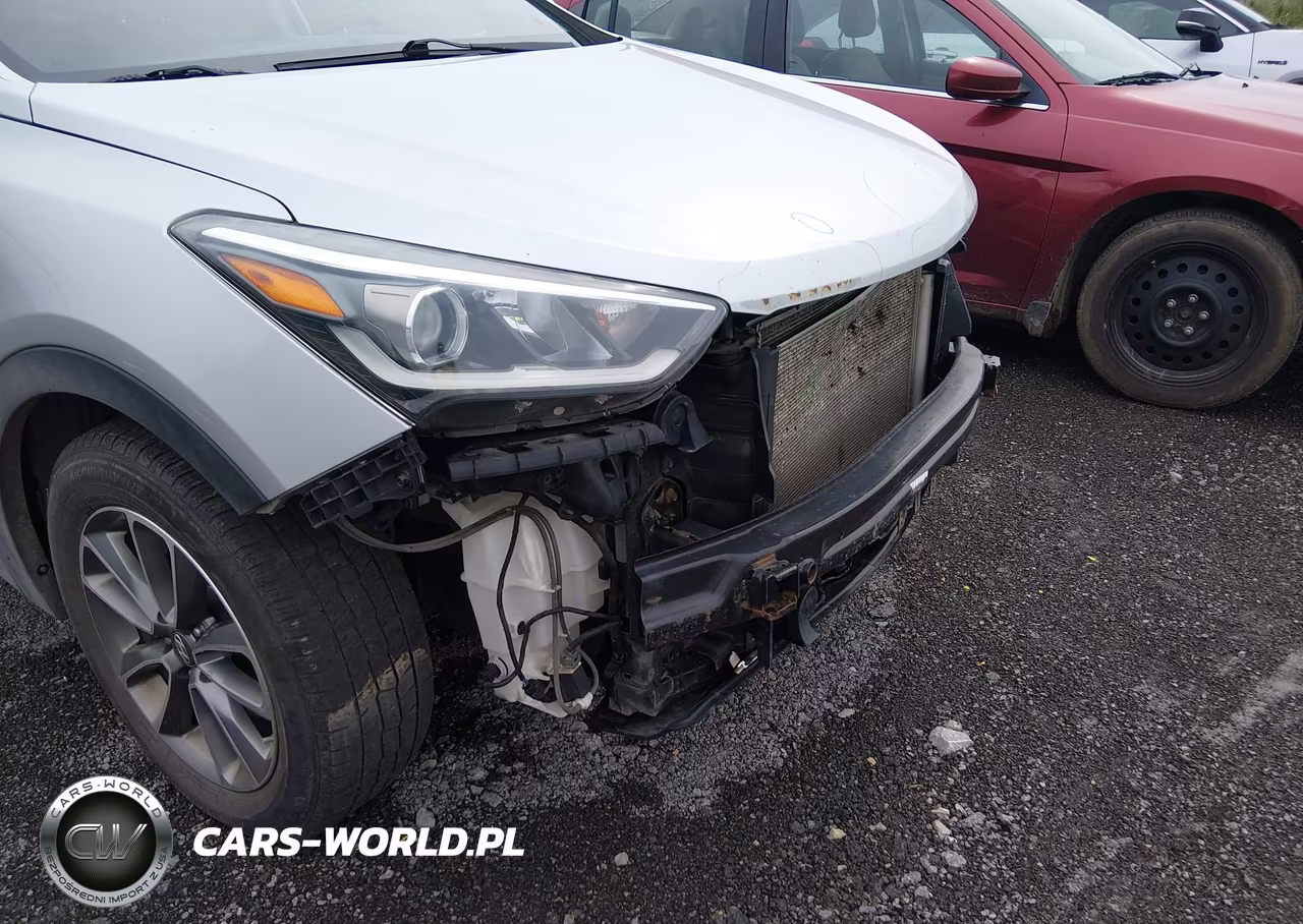 2017 Hyundai Santa Fe Se VIN:KM8SNDHF0HU173981 - 18