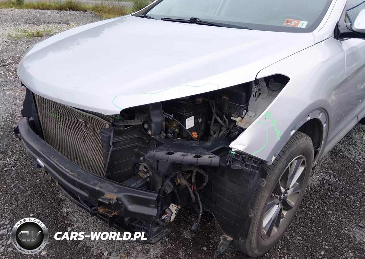 2017 Hyundai Santa Fe Se VIN:KM8SNDHF0HU173981 - 6