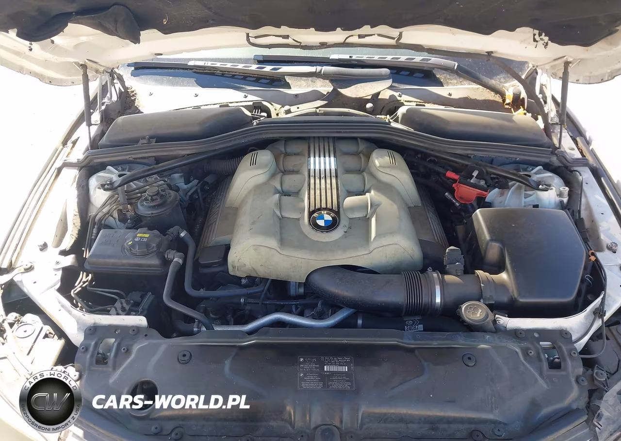 2005 BMW 545I VIN:WBANB33545CN66917 - 10