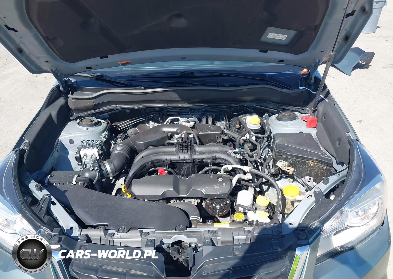 2018 Subaru Forester 2.5I Premium VIN:JF2SJAEC2JH452907 - 10