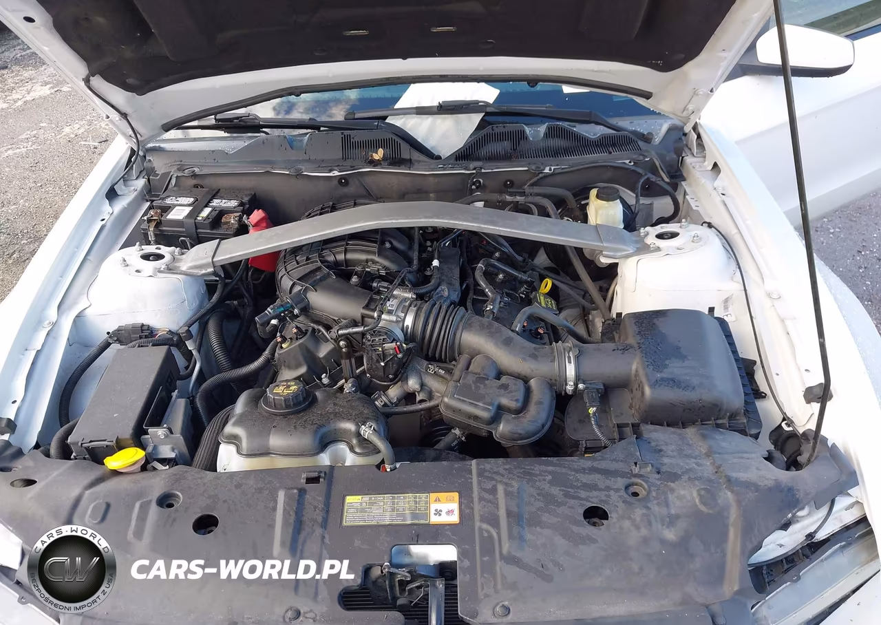 2014 Ford Mustang V6 Premium VIN:1ZVBP8EM7E5263415 - 10