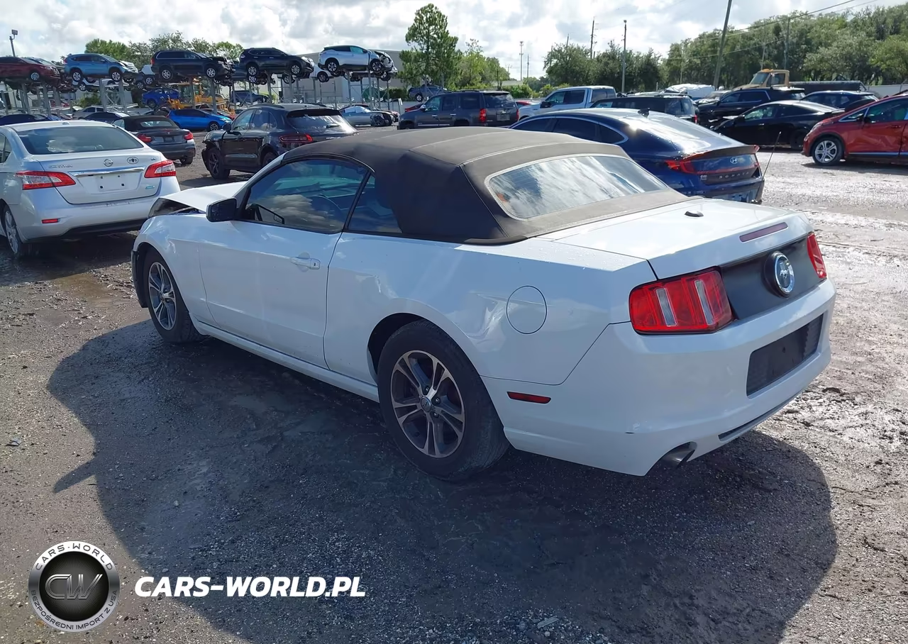 2014 Ford Mustang V6 Premium VIN:1ZVBP8EM7E5263415 - 3