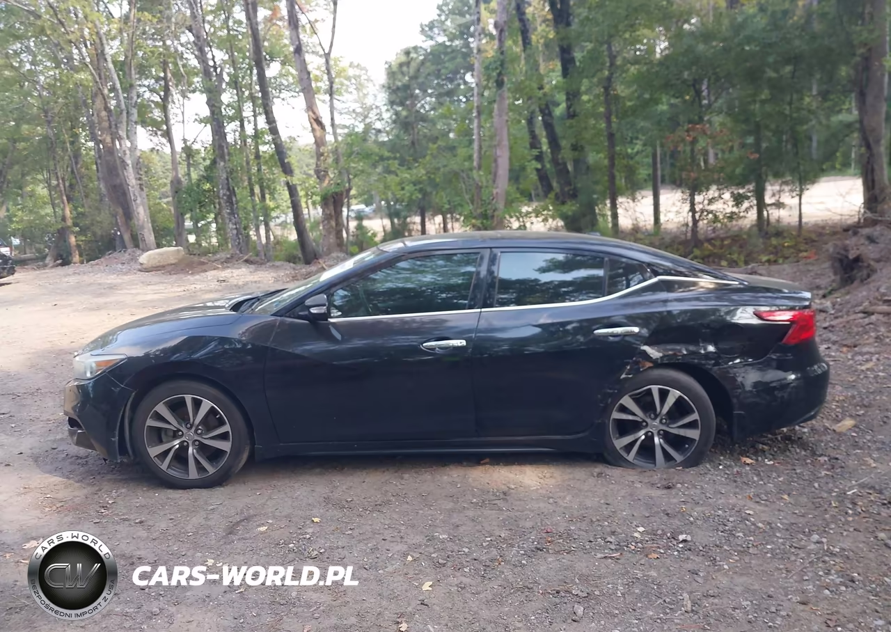 2016 Nissan Maxima 3.5 Sl VIN:1N4AA6AP1GC416332 - 14