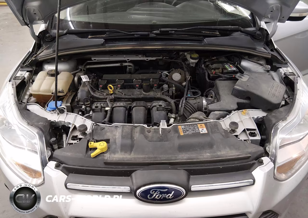 2014 Ford Focus Se VIN:1FADP3F25EL461486 - 10