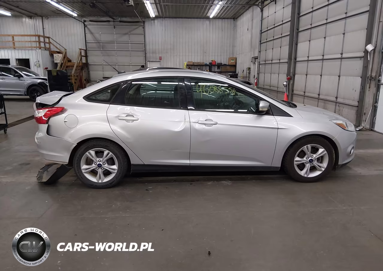 2014 Ford Focus Se VIN:1FADP3F25EL461486 - 12